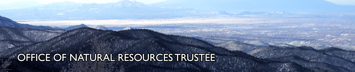 Office of Natural Resources Trustee