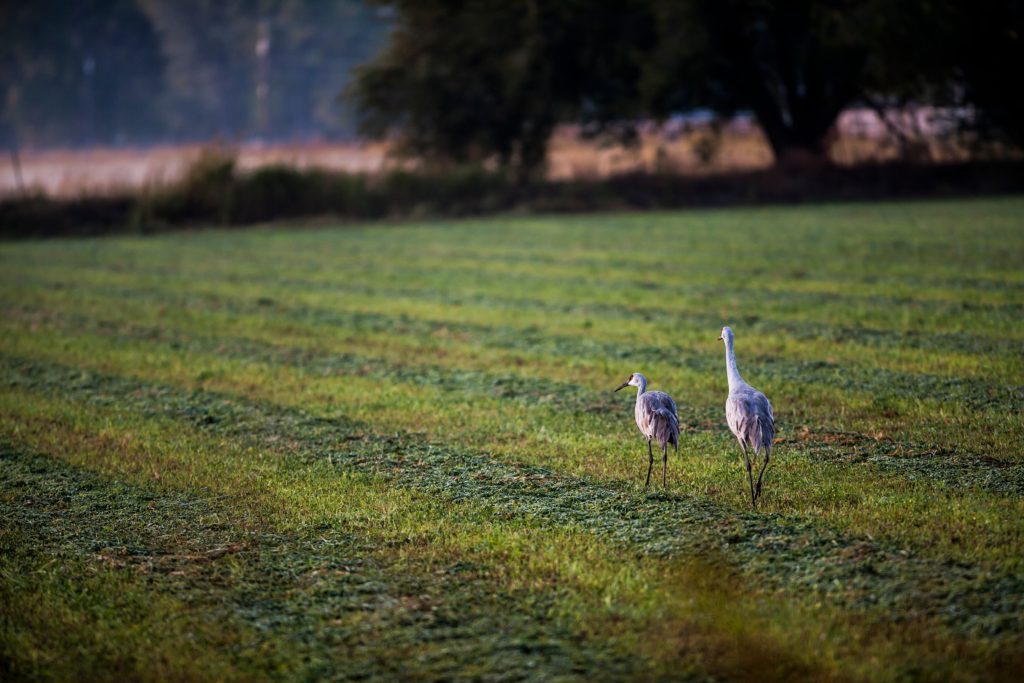 Governor Michelle Lujan Grisham Delivering for Communities in San Juan and Animas River