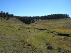 Midnight Meadows Bitter Creek Restoration October 2022