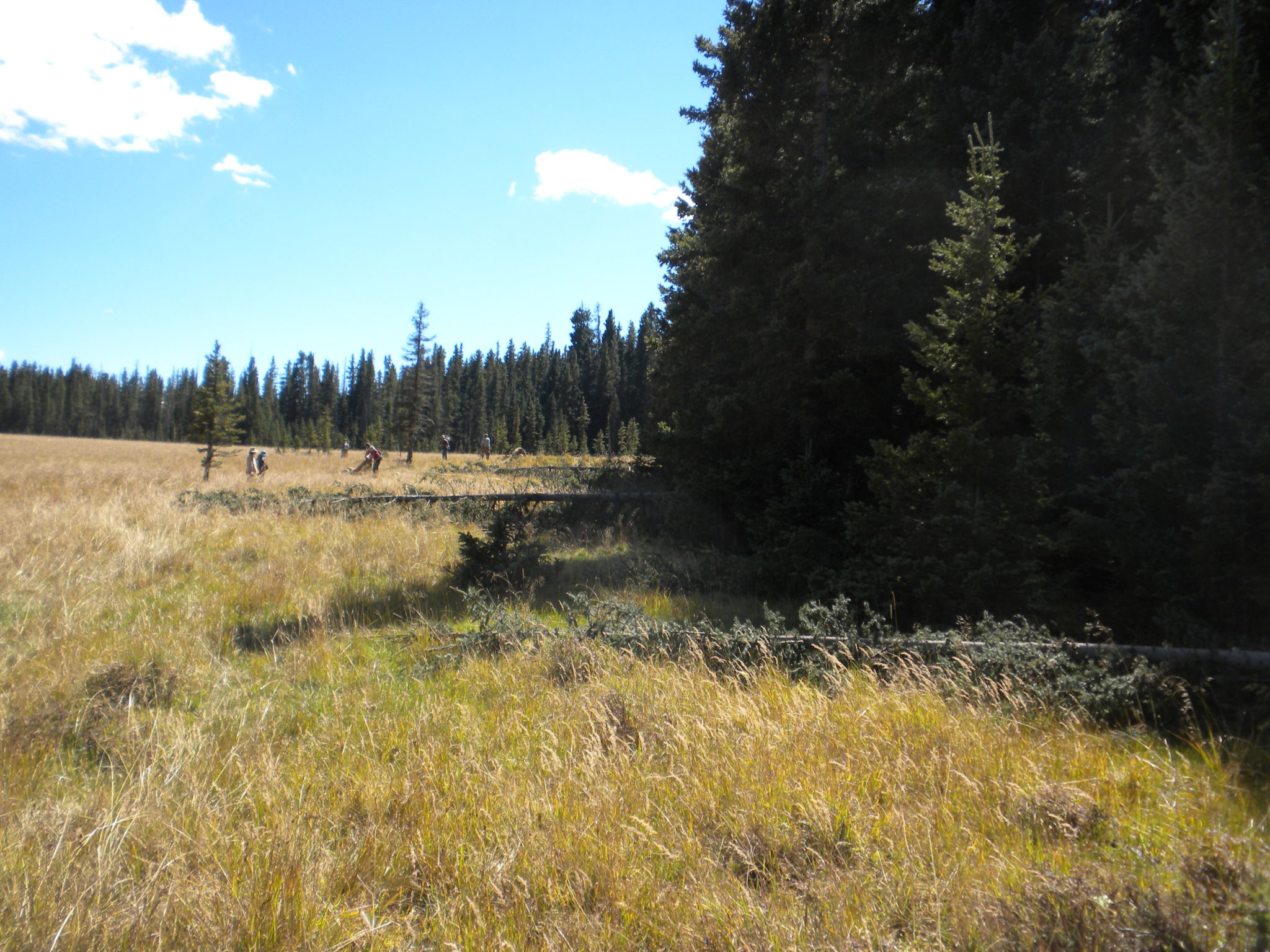 Chevron Mining Inc., Questa Mine (Formerly Molycorp Mine) Office of Natural Resources Trustee