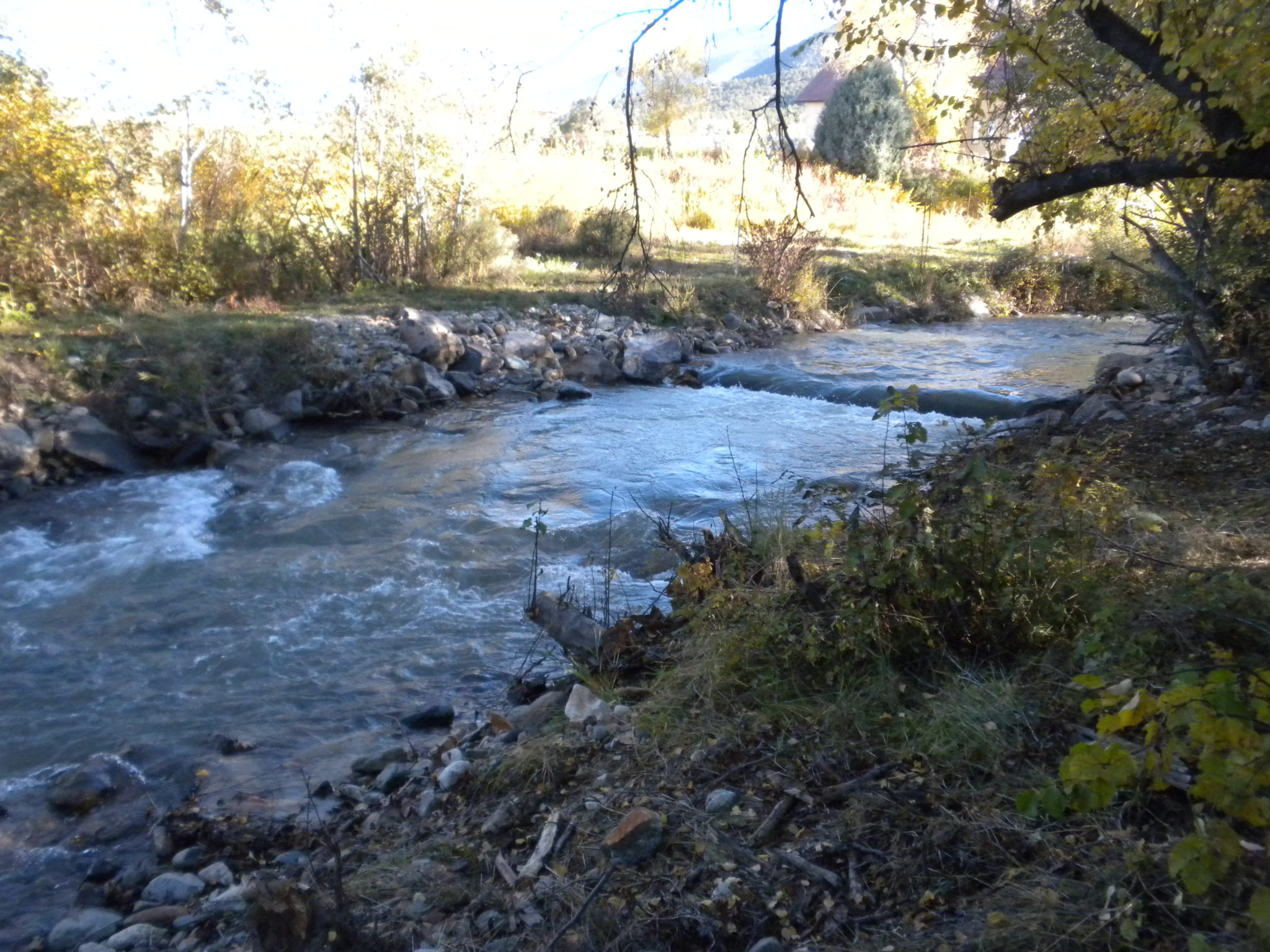 Chevron Mining Inc., Questa Mine (Formerly Molycorp Mine) Office of Natural Resources Trustee